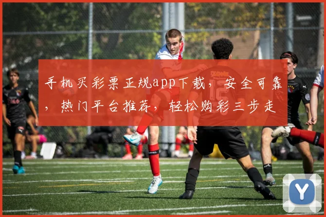 手机买彩票正规app下载，安全可靠，热门平台推荐，轻松购彩三步走，快来体验